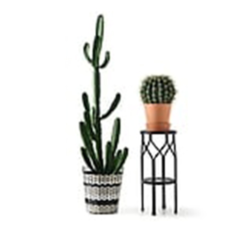 8cb22676c2.jpg.500x500